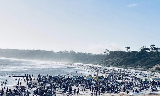 Tabaré Viera responde a Fernando Pereira: “Negar cifras es querer tapar el sol”