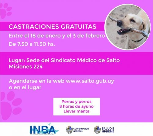 Castraciones Gratuitas Salto
