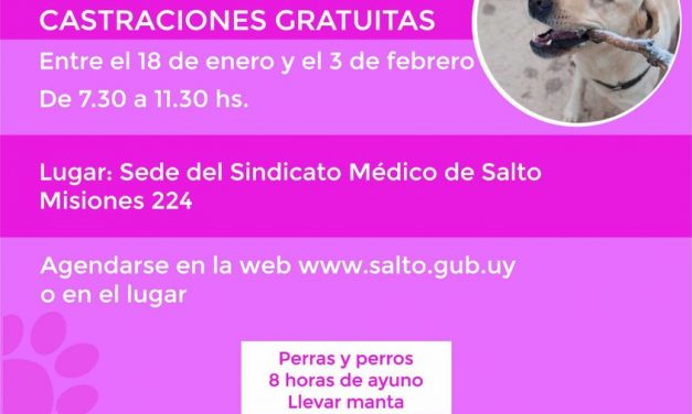 Castraciones Gratuitas a perras y perros