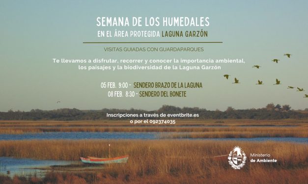Día de los Humedales: ¿Qué jornadas preparó el Ministerio de Ambiente?