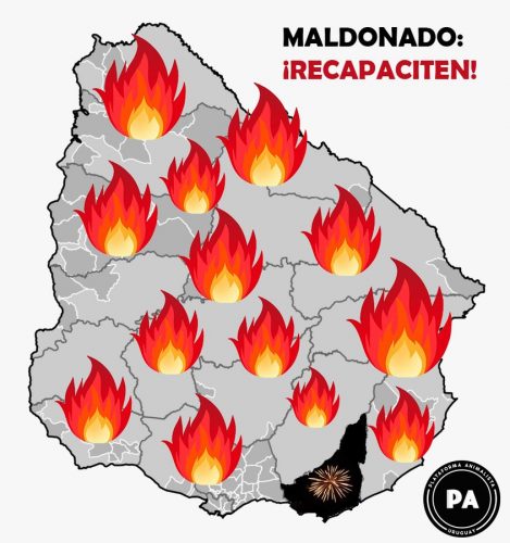 Maldonado Recapaciten