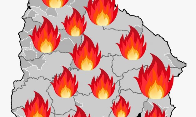 Un 26 de enero de 2023: ¿Qué compartieron en las redes sociales, Plataforma Animalista, Canal 5, Hernández, y Rubio?