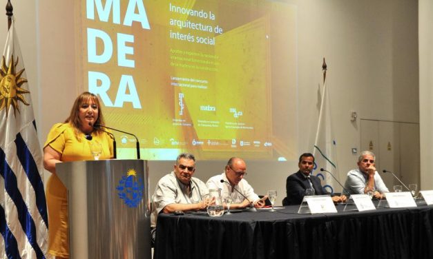Todo suma: Ministerio de Vivienda lanzó concurso para proyectos de construcción en madera