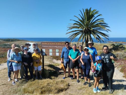 avistamiento de aves