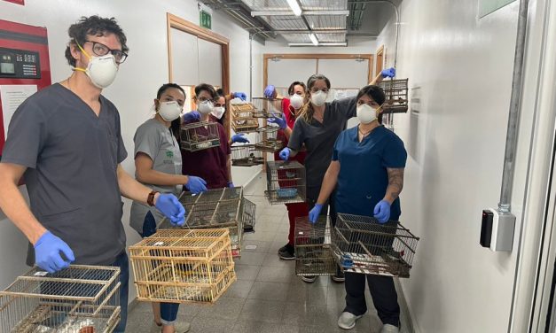 Un 20 de enero de 2023: ¿Qué compartieron en las redes sociales, Ministerio de Ambiente, JSU, CAMTUR, e Intendencia de Canelones?