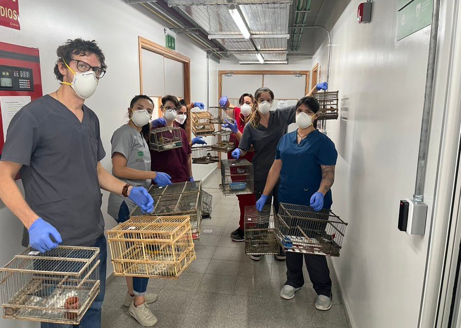 Un 20 de enero de 2023: ¿Qué compartieron en las redes sociales, Ministerio de Ambiente, JSU, CAMTUR, e Intendencia de Canelones?