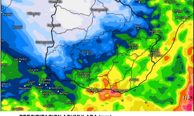 Un 29 de enero de 2023: ¿Qué compartieron en las redes sociales, Bidegain, Pereira, Perrone, y ESPN Uruguay?