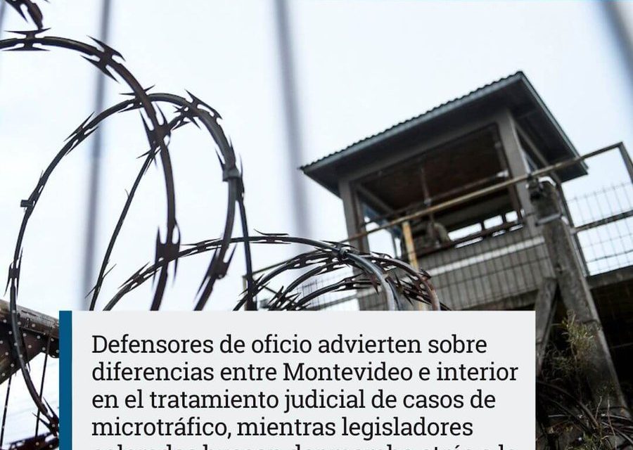 Un 13 de enero de 2023: ¿Qué compartieron en las redes sociales, Búsqueda, Domenech, Mahía, y Pareja?