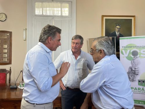 Amarilla Besozzi y Lafluf