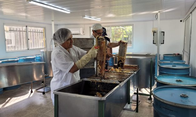 Expo Miel 2023: ¿qué días será y en dónde se llevará a cabo?