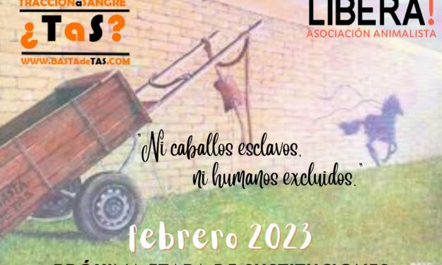 Un 15 de febrero de 2023: ¿Qué compartieron en las redes sociales, Libera!, Cabrera, Vega, y Mevir?