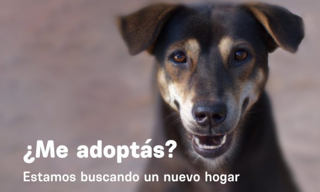 Un 6 de febrero de 2023: ¿Qué compartieron en las redes sociales, Varsky Sports, Cosse, Yurramendi, y Topolansky?