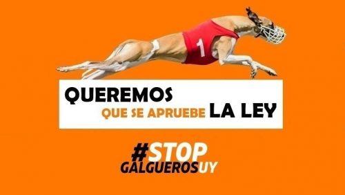 stop galgueros