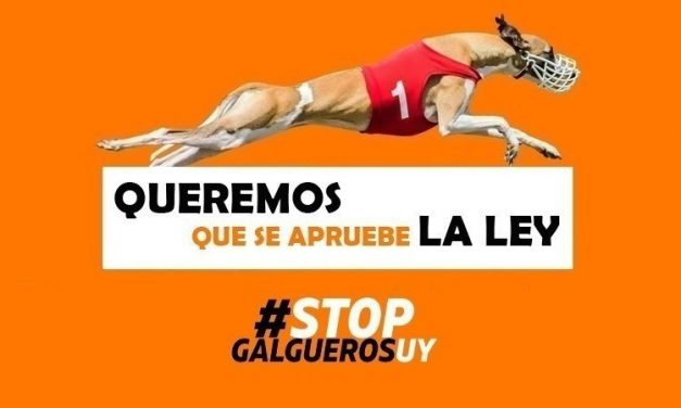 Un 2 de febrero de 2023: ¿Qué compartieron Libera!, Friedmann, Casavalle de Pie, y O’ Connor?