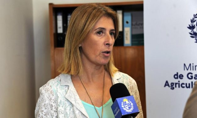 Comenzó a funcionar programa de albergues para animales en vía pública