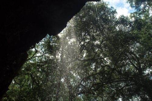 Coca Cola Valle del Lunarejo