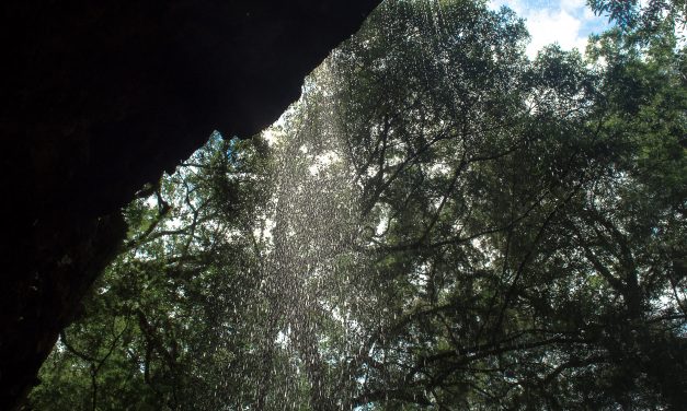 Coca-Cola Uruguay presenta su iniciativa “Somos Muchos”: ¿de qué va la movida?