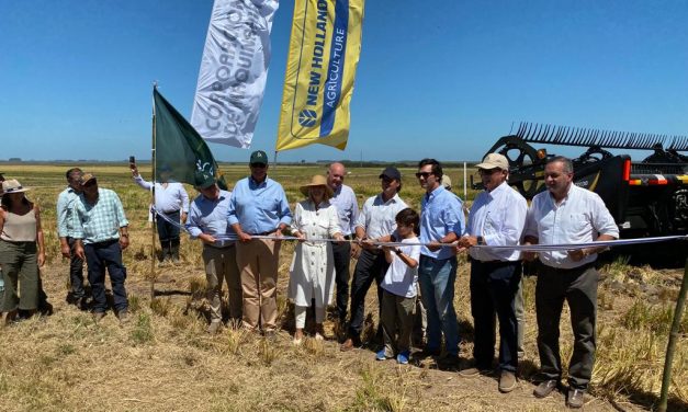 Un 6 de marzo de 2023: ¿Qué compartieron en las redes sociales, MIEM, Silva, Casavalle de Pie, y FA Montevideo?