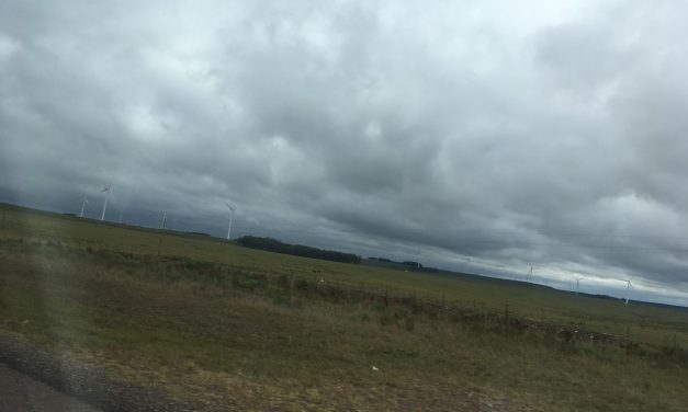 MIEM e IRENA lanzarán el Latin American Investment Forum con evento en el que expondrá el ministro Paganini