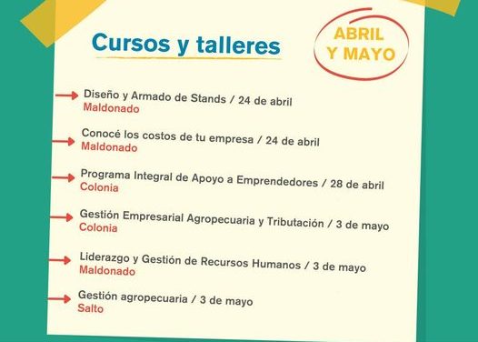 Centros Pymes de ANDE: Capacitaciones en Maldonado, Colonia y Salto