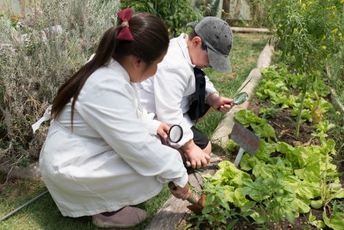 ZonadeExploraciónCiencias