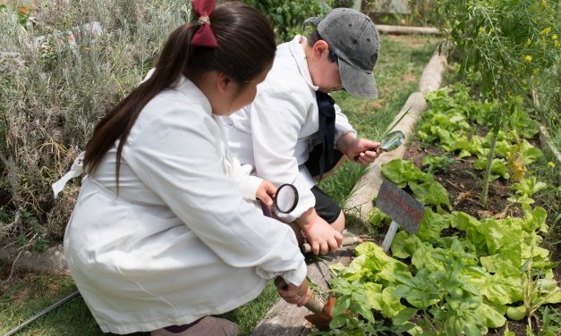 Llega a Uruguay Eureka! Learning Days: un festival gratuito para aprender y disfrutar en familia