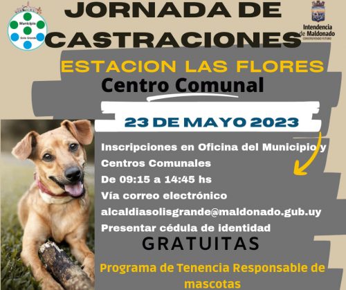 Jornada de Castraciones