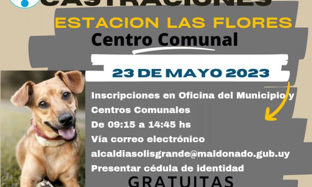 Jornada de Castraciones en Municipio de Solís Grande