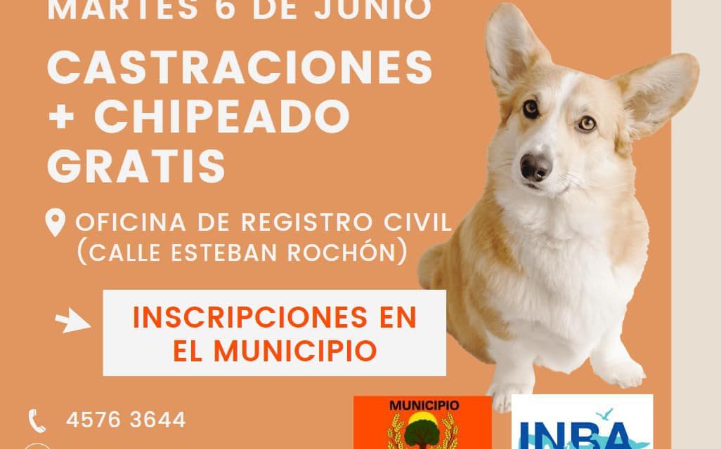 Castraciones + Chipeado en Ombúes de Lavalle