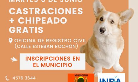 Castraciones + Chipeado en Ombúes de Lavalle