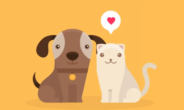 Plataforma Animalista transmite tranquilidad a la población sobre pregunta de cantidad de gatos y perros en el CENSO