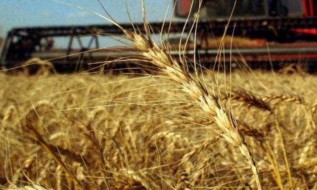 Argentina y Uruguay, ¿el mayor granero del futuro en materia de seguridad alimentaria mundial?