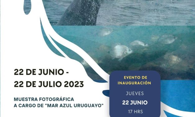 CAF invita a muestra de fotos Mar Azul Uruguayo
