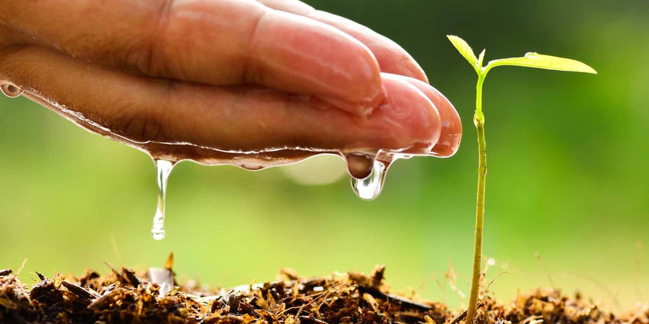 La realidad ambiental mundial: Un llamado a la acción frente a los problemas emergentes