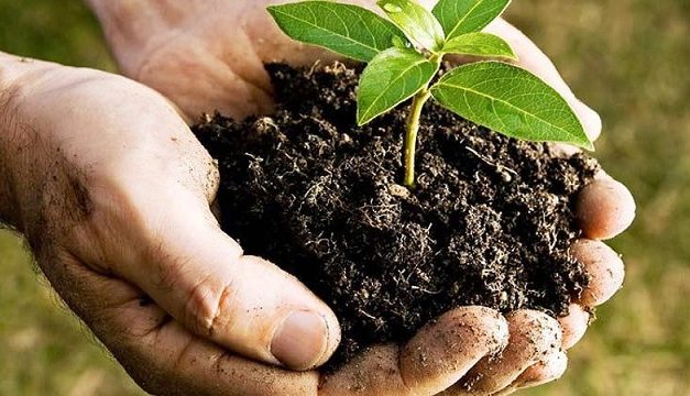 MGAP promueve el uso de bioinsumos: ¿cuál es el espíritu?