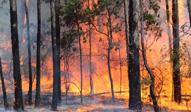 Ante situaciones excepcionales en Bomberos, se podrán contratar hasta 100 personas