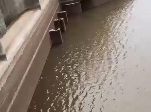 Un 15 de julio de 2023: ¿Qué compartieron en las redes sociales, Radio Florida, Abdala, PNUD Uruguay, y Ministerio del Interior?