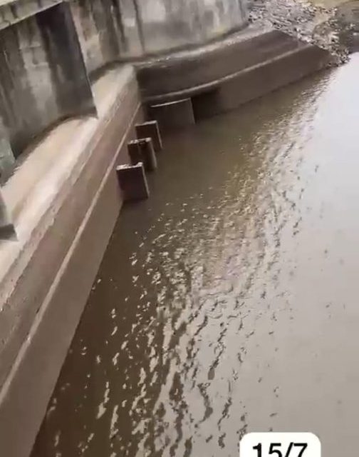 Un 15 de julio de 2023: ¿Qué compartieron en las redes sociales, Radio Florida, Abdala, PNUD Uruguay, y Ministerio del Interior?