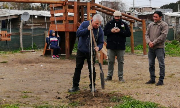 FORESTACIÓN EN NICOLICH: 70 ÁRBOLES NUEVOS