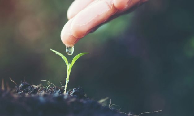 Carlos Durán: ¡Estamos llamados a crear!