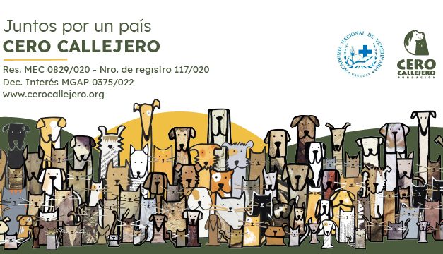 Cero Callejero: 100% de amor, empatía y profesionalismo para el bienestar de las Mascotas