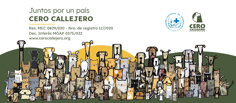 Cero Callejero: 100% de amor, empatía y profesionalismo para el bienestar de las Mascotas