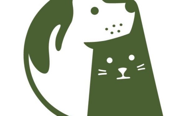 Jornadas de castraciones y chipeado Gratuito en todo el país