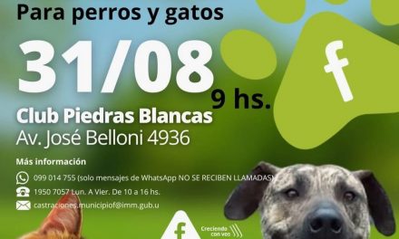 Castraciones Gratuitas en Municipio F