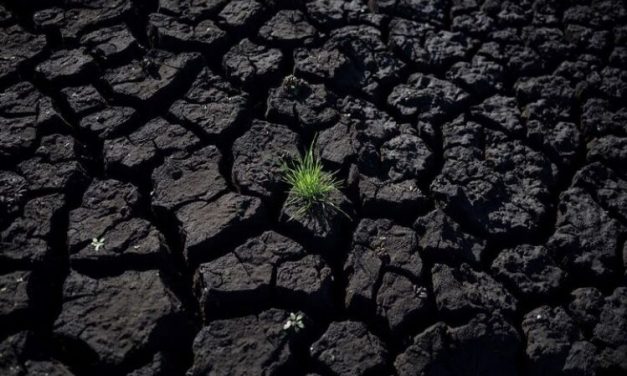 ¿Quién fue el ganador del concurso fotográfico “La Naturaleza Nos Habla”