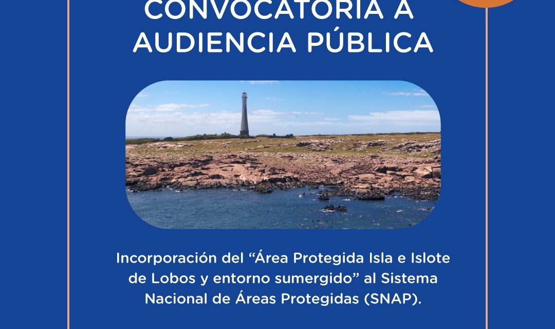 Audiencia Pública “Área Protegida Isla e Islote de Lobos y entorno sumergido”