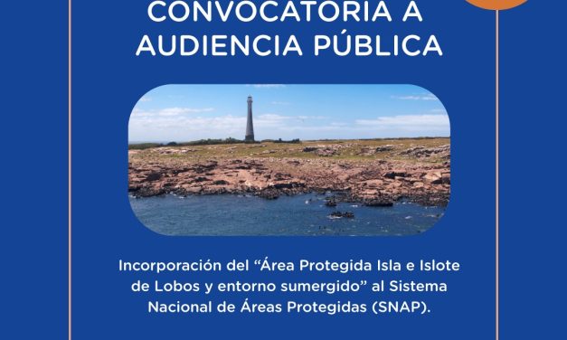 Audiencia Pública “Área Protegida Isla e Islote de Lobos y entorno sumergido”