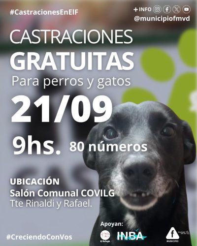 Castraciones Municipio F