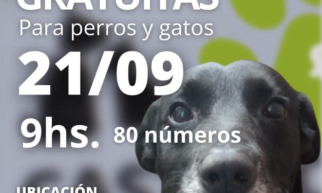 Castraciones Gratuitas en Municipio F