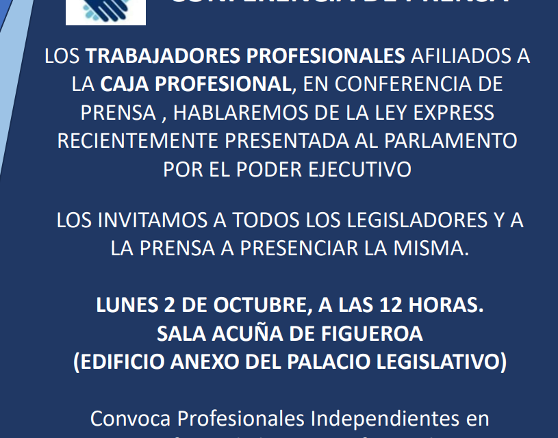 ¿Cuál es la propuesta de la Asociación de Profesionales Independientes en defensa de la Caja Profesional?